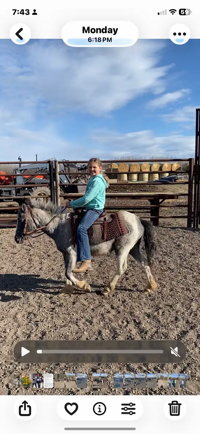 kids pony - Photo 7