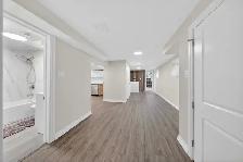 Basement Apartment - Photo 3
