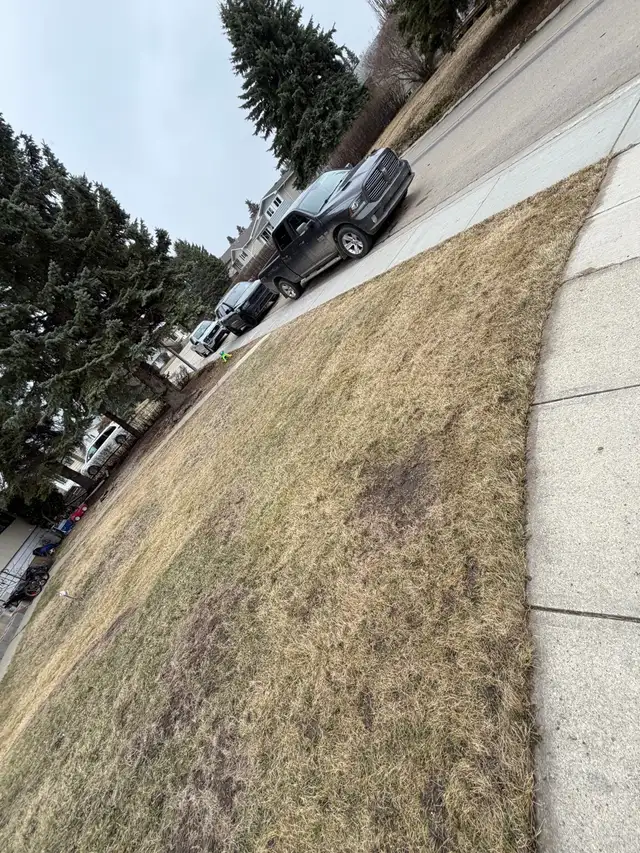 Backyard Cleaning & Yard Work Services – Edmonton - Photo 2