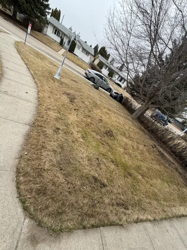 Backyard Cleaning & Yard Work Services – Edmonton - Photo 3