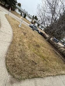 Backyard Cleaning & Yard Work Services – Edmonton - Photo 3