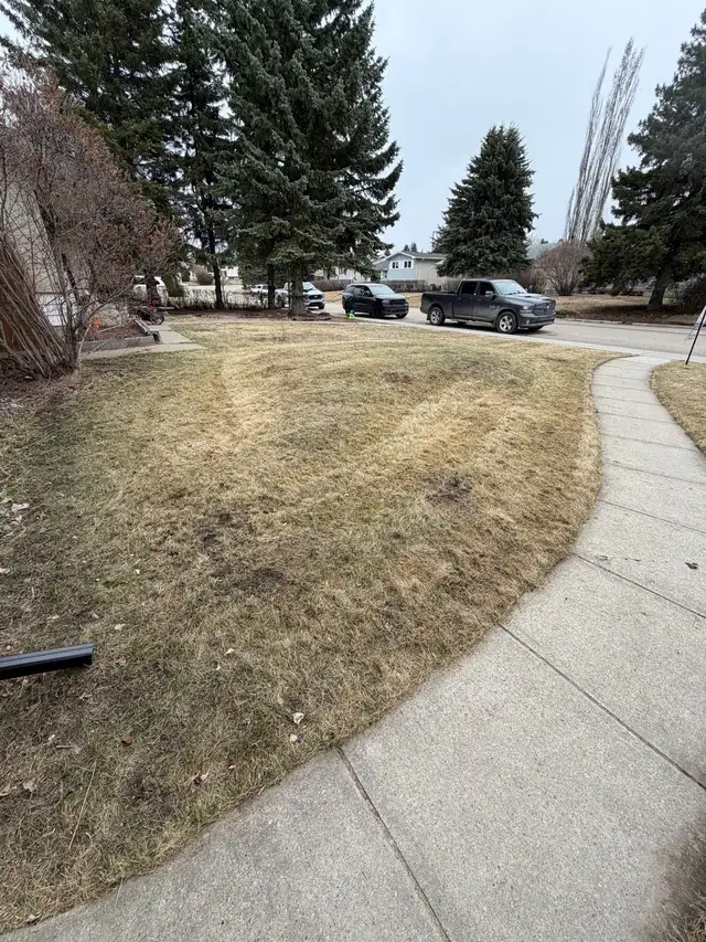 Backyard Cleaning & Yard Work Services – Edmonton - Photo 4