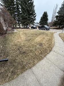 Backyard Cleaning & Yard Work Services – Edmonton - Photo 4