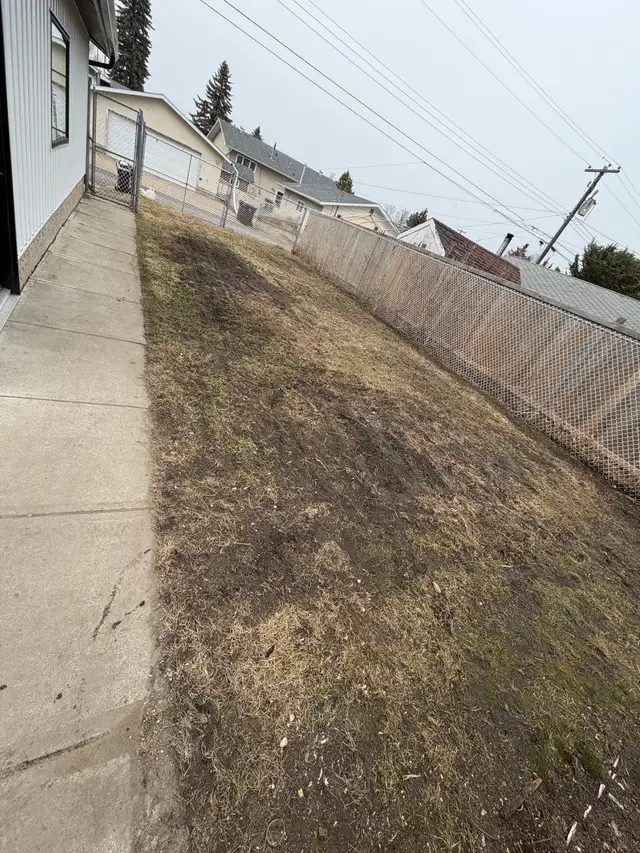 Backyard Cleaning & Yard Work Services – Edmonton - Photo 5