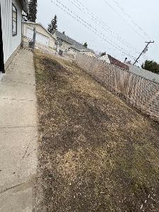 Backyard Cleaning & Yard Work Services – Edmonton - Photo 5