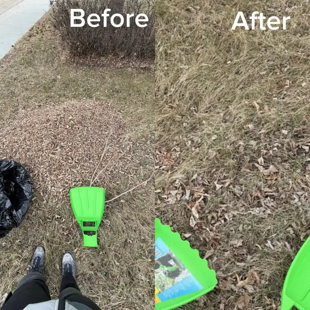 Backyard Cleaning & Yard Work Services – Edmonton - Photo 6