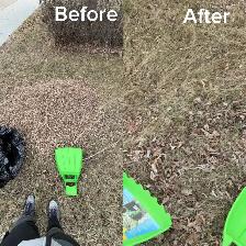 Backyard Cleaning & Yard Work Services – Edmonton - Photo 6