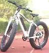 1500w fat tire Ebike