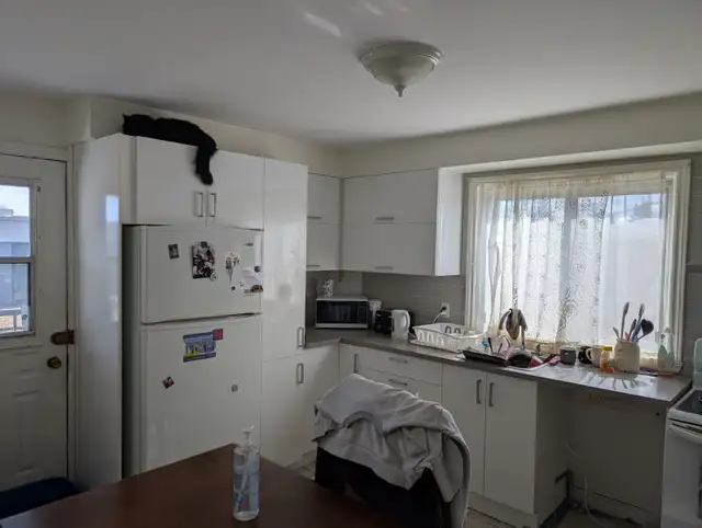 4 1/2 APPARTEMENT 59 RUE GAUTHIER, STE-THERESE, QC 1400$ - Photo 3