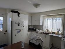 4 1/2 APPARTEMENT 59 RUE GAUTHIER, STE-THERESE, QC 1400$ - Photo 3