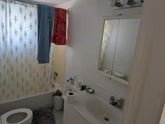 4 1/2 APPARTEMENT 59 RUE GAUTHIER, STE-THERESE, QC 1400$ - Photo 6