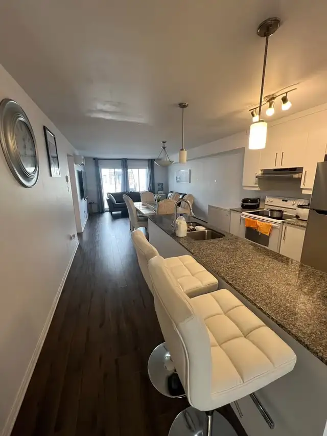 371 Chemin McConnell - 371-1 Apartment for Rent - Photo 3