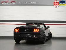 2023 Ford Mustang EcoBoost Premium No Accident Vented Seats Blin - Photo 2
