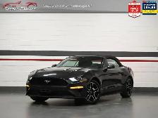 2023 Ford Mustang EcoBoost Premium No Accident Vented Seats Blin - Photo 14