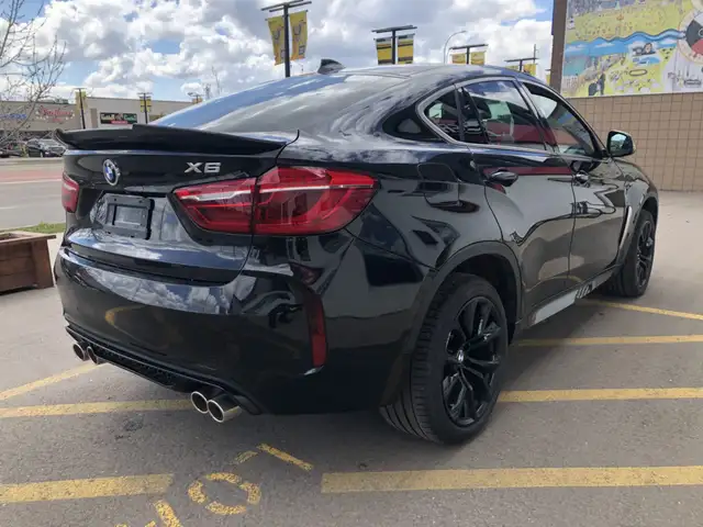2019 BMW X6 XDrive35i M-PACKAGE - Photo 9