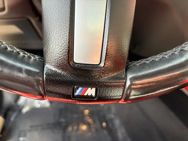 2019 BMW X6 XDrive35i M-PACKAGE - Photo 29