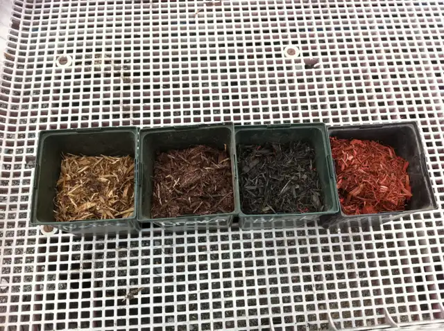 Real Cedar Mulch ! - Photo 2