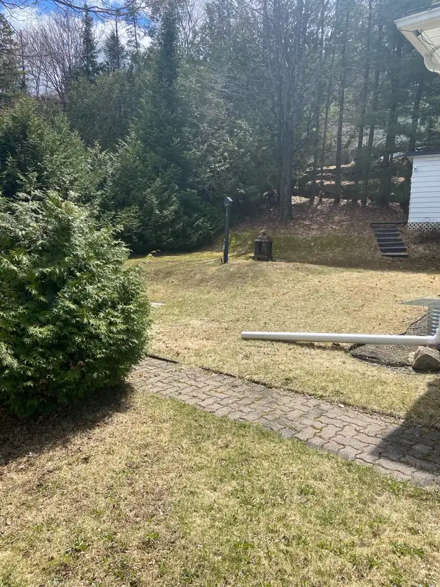 Beau 4 1/2 à louer - Photo 6