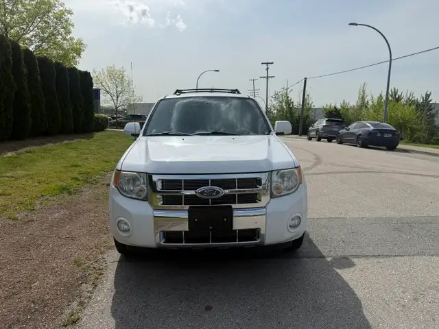 2008 Ford Escape LIMITED 4WD AUTO A/C LEATHER LOCAL BC 173,000KM - Photo 5