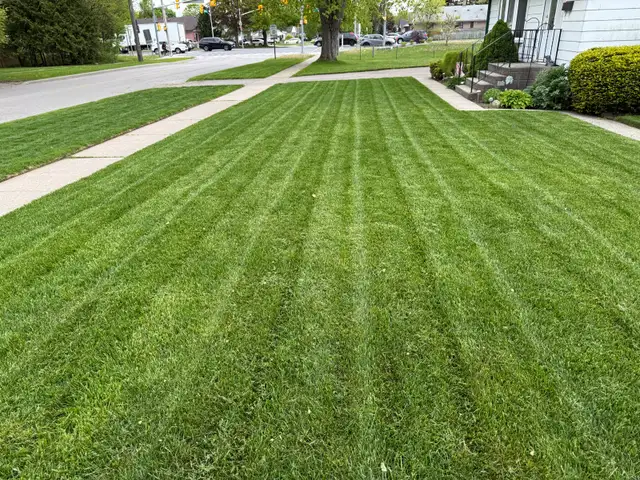 Grass cutting service