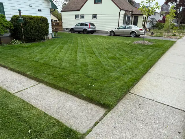 Grass cutting service - Photo 4