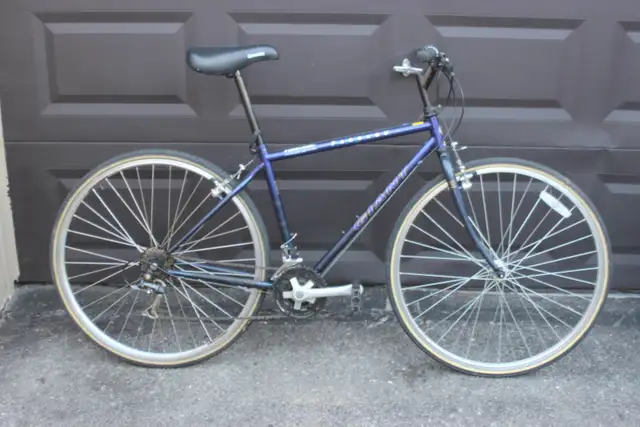 Giant Farago SE Hybrid Bike 17 inch Frame