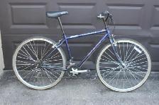 Giant Farago SE Hybrid Bike 17 inch Frame