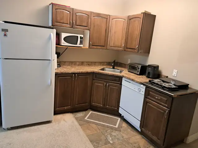 2 Bedroom B/ Suite  FULLY FURNISHED  Available June 1, 2026 - Photo 2
