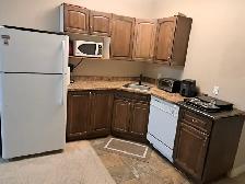 2 Bedroom B/ Suite  FULLY FURNISHED  Available June 1, 2026 - Photo 2