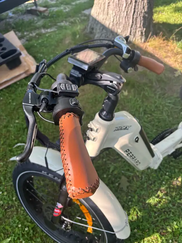 Ridex Passnenger and Cargo e-bike - Photo 5