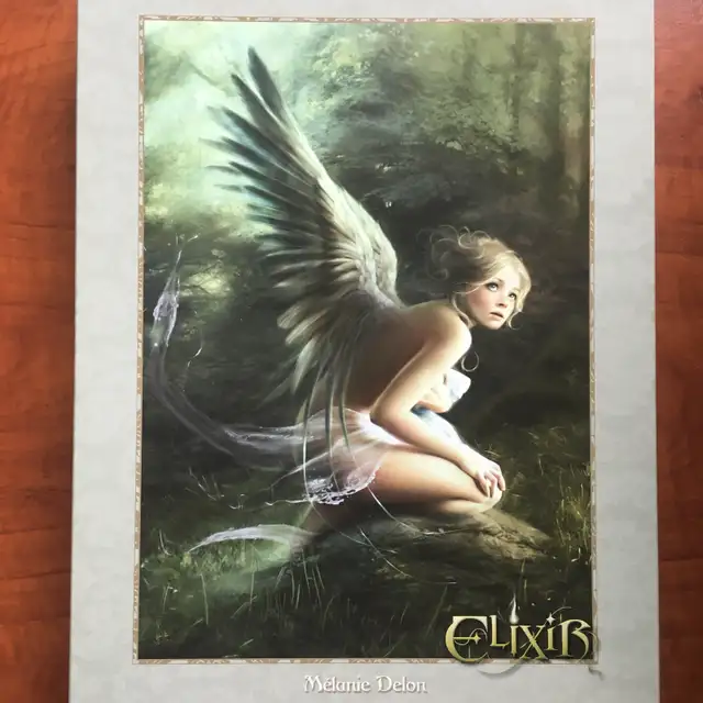 Casse-têtes / Puzzles (10 CT), 1000 pièces (noXIII) - Photo 6