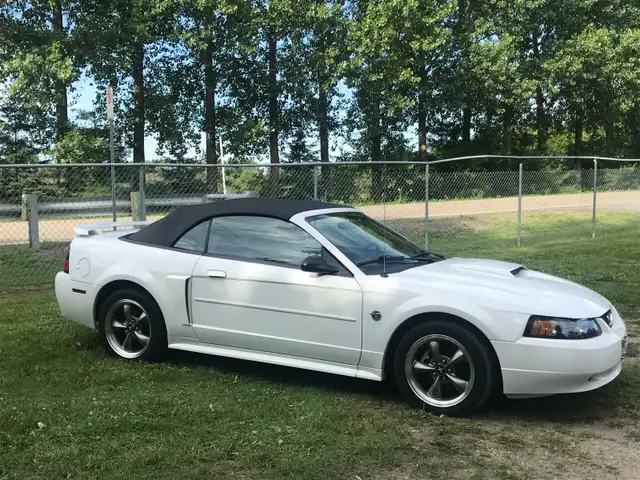 Ford Mustang GT 2004