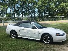 Ford Mustang GT 2004