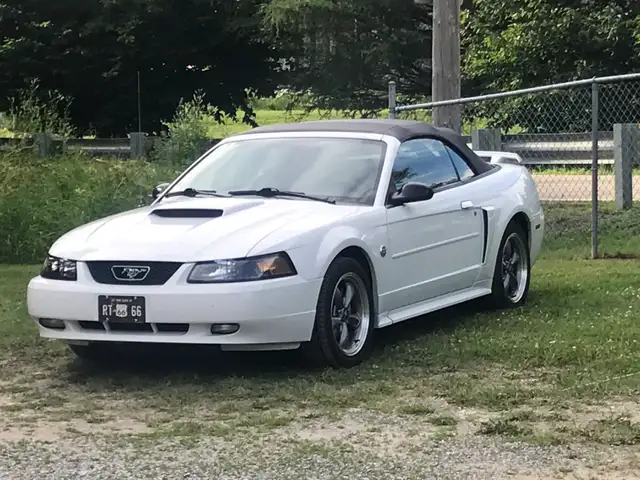 Ford Mustang GT 2004 - Photo 2