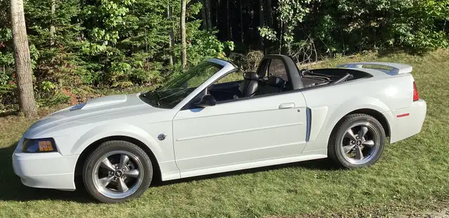 Ford Mustang GT 2004 - Photo 3