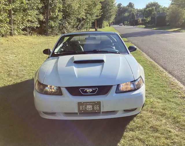 Ford Mustang GT 2004 - Photo 6