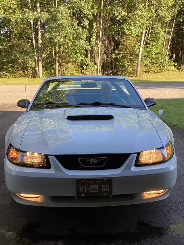 Ford Mustang GT 2004 - Photo 10