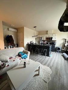 Studios:• $995/month• $1,049/month-Greenfield Park – South Shore - Photo 4