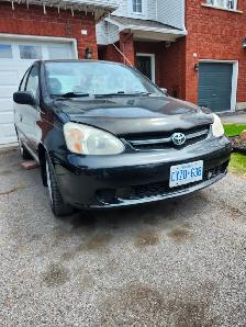 2003 Toyota Echo