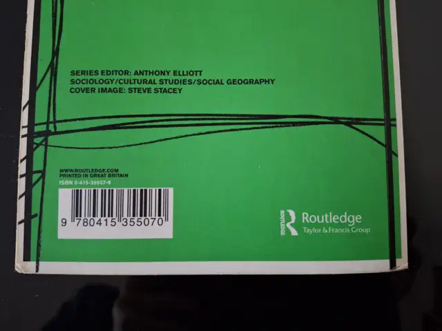 Consumption and Everyday Life: The New Sociology - Mark Paterson - Photo 4