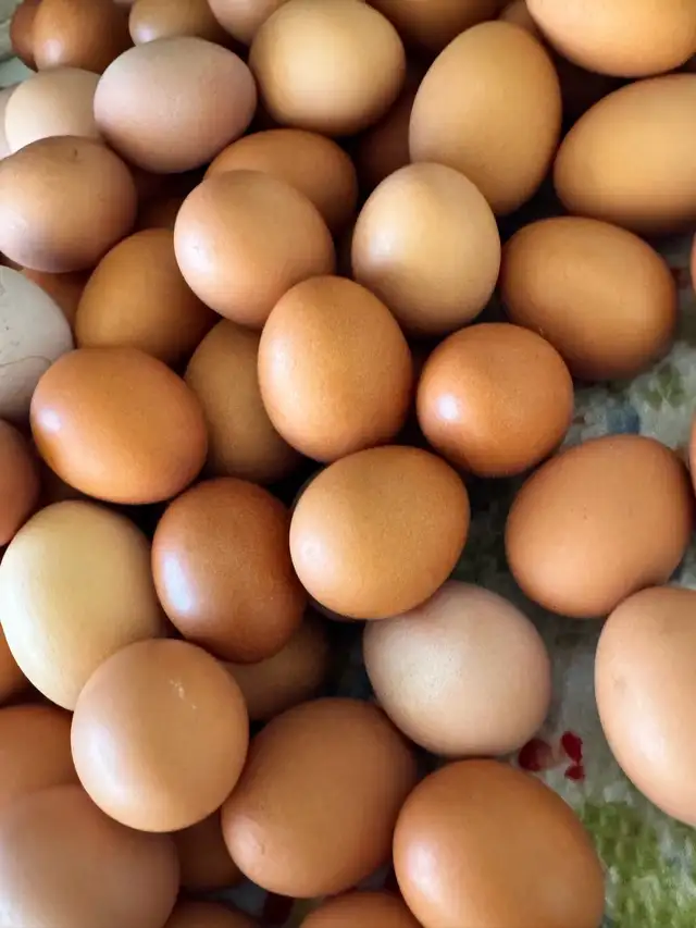 Eggs Fresh Farm