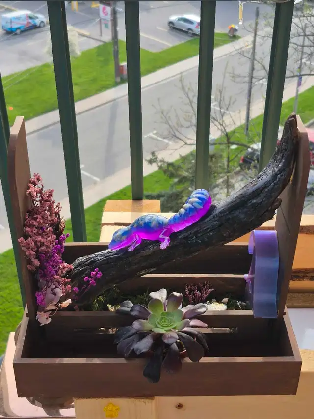 One of a kind Mother's Day gift