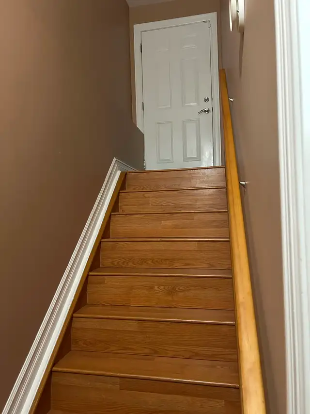 Spacious 2 bedroom basement suite for rent - Photo 10