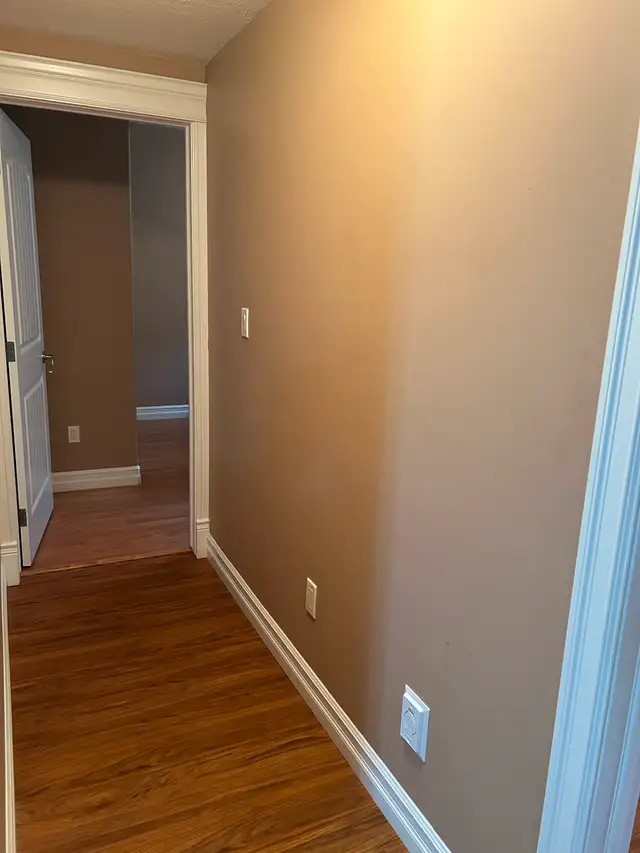 Spacious 2 bedroom basement suite for rent - Photo 13