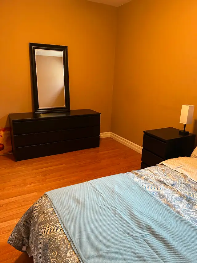 Spacious 2 bedroom basement suite for rent - Photo 14