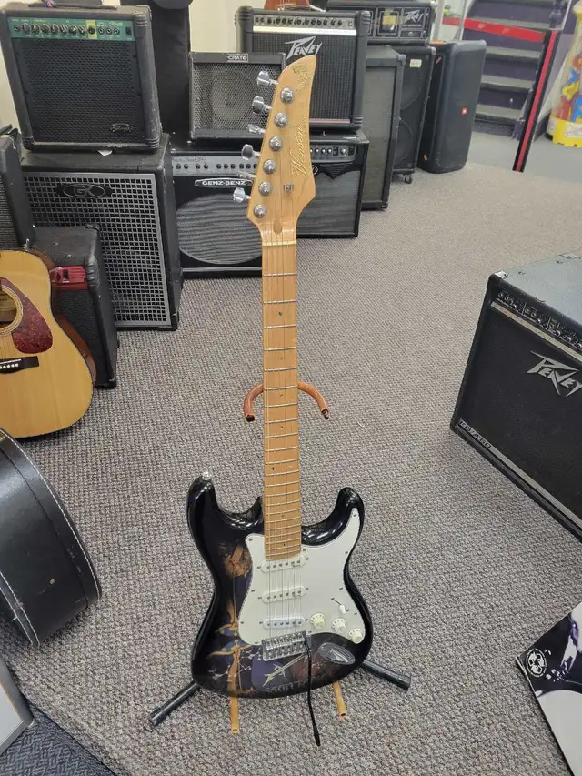 Wensen Electric Custom Guitars 'Sagittarius'