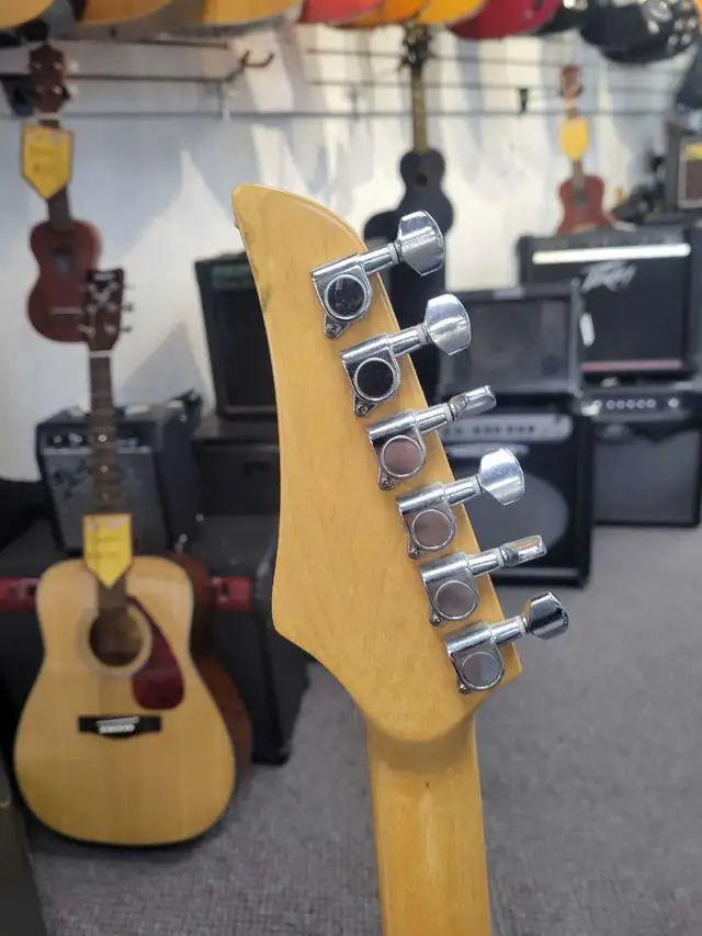 Wensen Electric Custom Guitars 'Sagittarius' - Photo 7