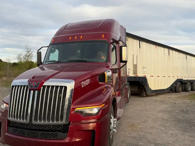 Driver wanted - Photo 5