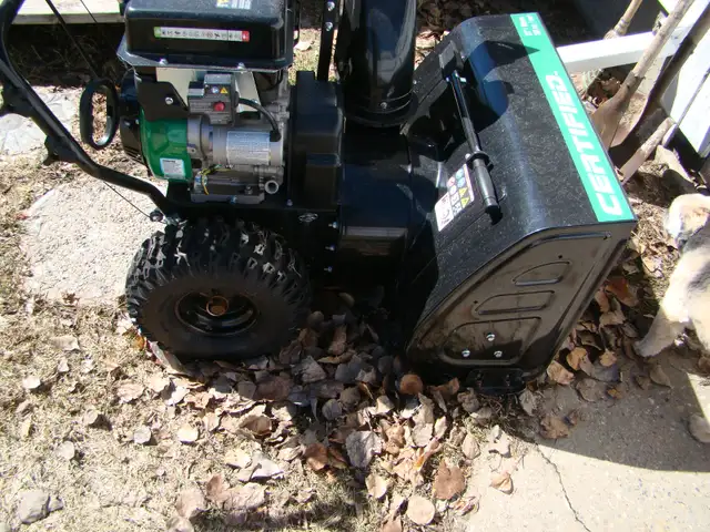 27 inch 301 cc Snowblower - Photo 4