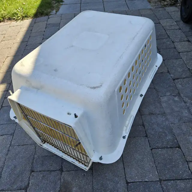 CAGE CHIEN OU CHAT